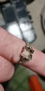 Ring dannys yard 12-22-2019.webp
