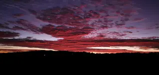 20191121_070521.webp