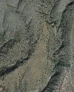 rye.webp
