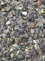 IMG_E9723.webp IMG_E9723.webp