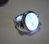 P1010148.webp
