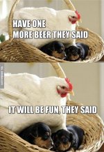 have-one-more-beer-chicken-memes.jpg