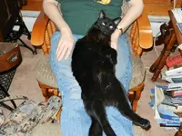 Moe lap.webp Moe lap.webp