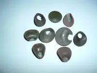 DSCF4430.webp