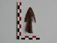 DSCN6817.webp