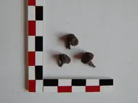 DSCN6844.webp
