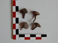 DSCN6849.webp