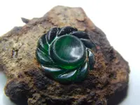 DSCN4241.webp