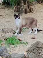 20180923_180914.webp