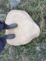 ROCK 1.webp