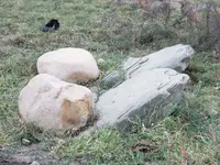 rock 3.webp