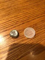 ImageUploadedByTreasureNet.com1573699160.820691.webp