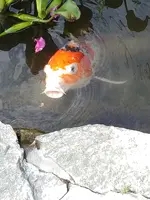 20191231_092539.webp