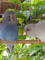 20191008_161644.webp
