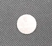 penny.webp