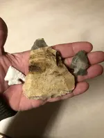 ImageUploadedByTreasureNet.com1575248763.159170.webp