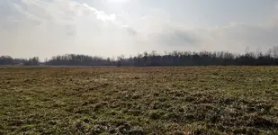 20191126_135805.webp