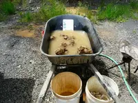 glacial mud 2.webp