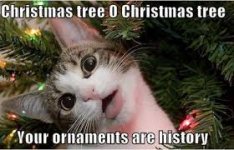 Your ornaments are history.jpg