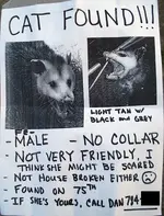 possum_poster.webp