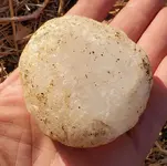 20191122_080928.webp