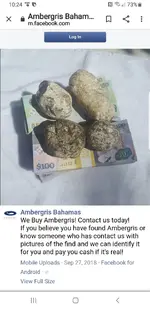 Screenshot_20191201-222424_Chrome.webp
