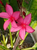 20191110_085454.webp