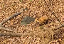 IMG_0261-2.webp