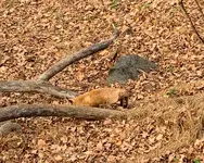 IMG_0268-2.webp