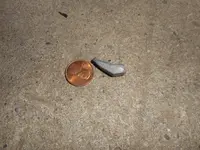 fishing2.webp