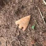 Lee County Georgia.webp