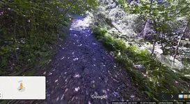 000789.webp