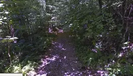 000111111.webp