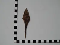 DSCN6914.webp