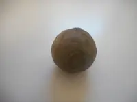 DSCN2810.webp