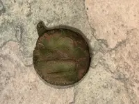 WW1 Rosette F.webp