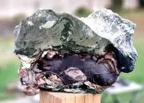 20191128_184823.webp