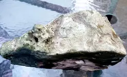 20191128_184936.webp