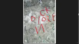 DICK NOSE highlighted.webp