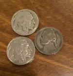 obverse.webp