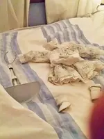 20191221_210445.webp