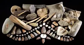 Artifact-Image.webp