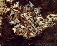 mound72cache1970large.webp