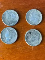 ImageUploadedByTreasureNet.com1572880968.727888.webp ImageUploadedByTreasureNet.com1572880968.727888.webp