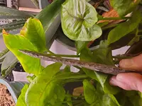 20191115_095143.webp