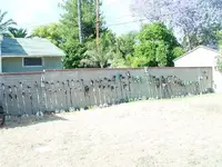 Herd Wall.webp