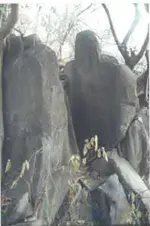 DeathTrapMexico3.webp
