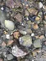 ImageUploadedByTreasureNet.com1577202295.527303.webp