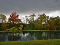back yard.webp