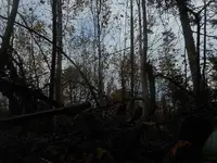 DSCN4184.webp